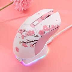 ˖ ࣪ ‹ mouse sakura